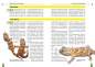 Preview: Der Sandgecko